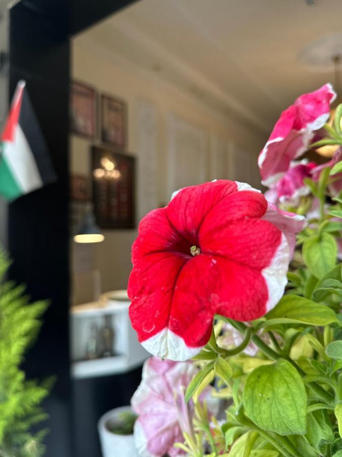 City Citadel Hotel,Amman Eksteriør bilde
